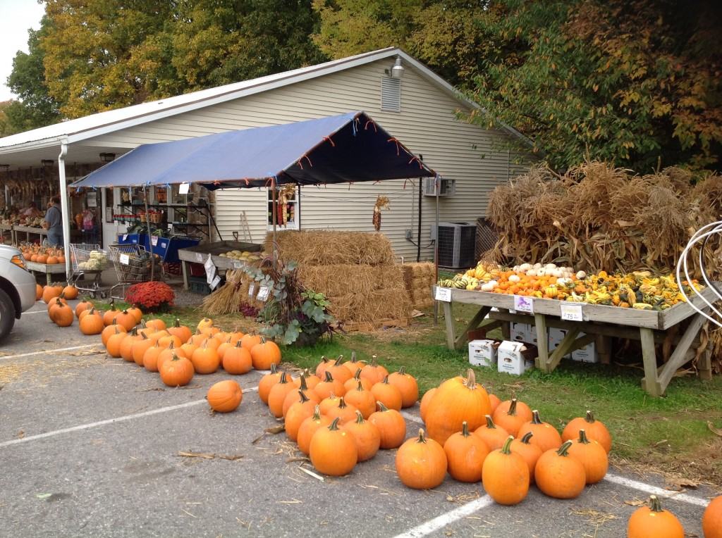 Horst Farm Market East Earl PA Lancaster County local Field-to-Table Produce Market Fare Varieties Field to table homegrown produce pumpkins fall varieties