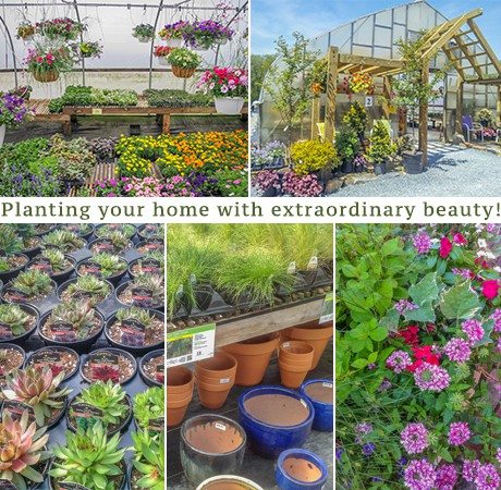 Tudbink's Farm Greenhouse Conestoga Lancaster County PA Planters Cityscaping Cityscape landscaping container gardens container gardening locally owned herbs