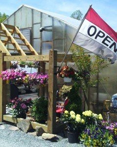 Tudbink's Farm Greenhouse Conestoga Lancaster County PA Planters Cityscaping Cityscape landscaping container gardens container gardening locally owned herbs