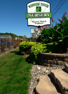 Winning Touch Nursery lawn garden 4