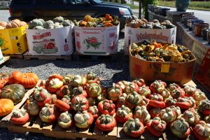 Perfect Pots Strasburg Pennsylvania Locally Owned Family Operated Fall Varieties